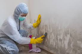 Why You Should Choose Our Mold Remediation Services in Chester, MD